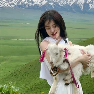 双龙英雄